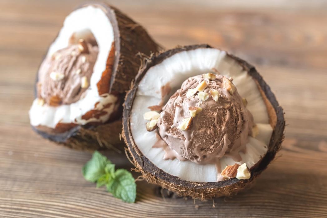 Chocolate Coconut Non-Dairy Ice Cream