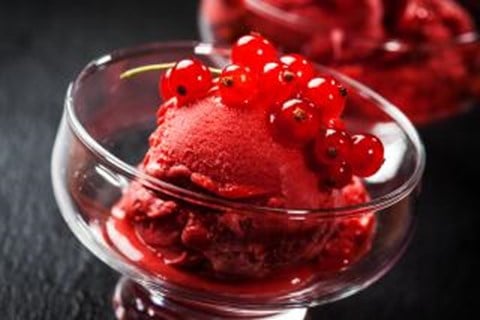 Cranberry Spice “Sorbet”