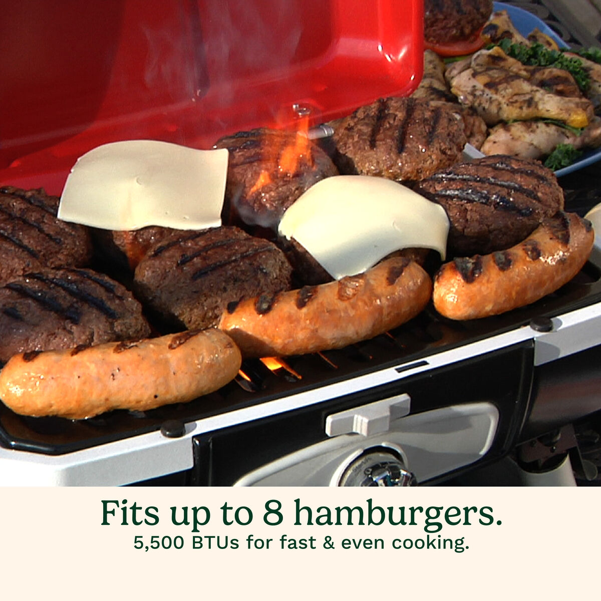 Petite Gourmet Portable Tabletop Gas Grill