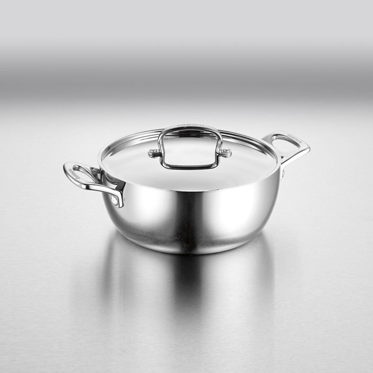 Stainless Steel Dutch Oven On Induction Stove Gotham Steel