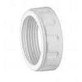 Ring Nut for Pasta Extruder Attachment 1
