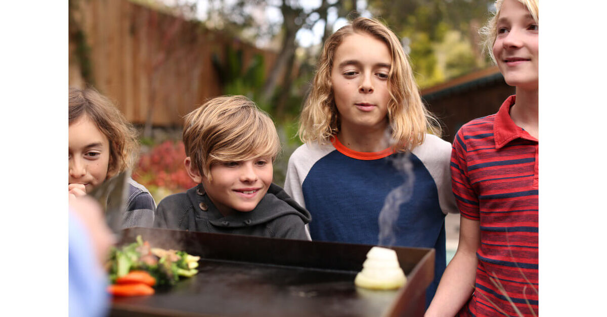 Discontinued Gourmet Two Burner Gas Griddle