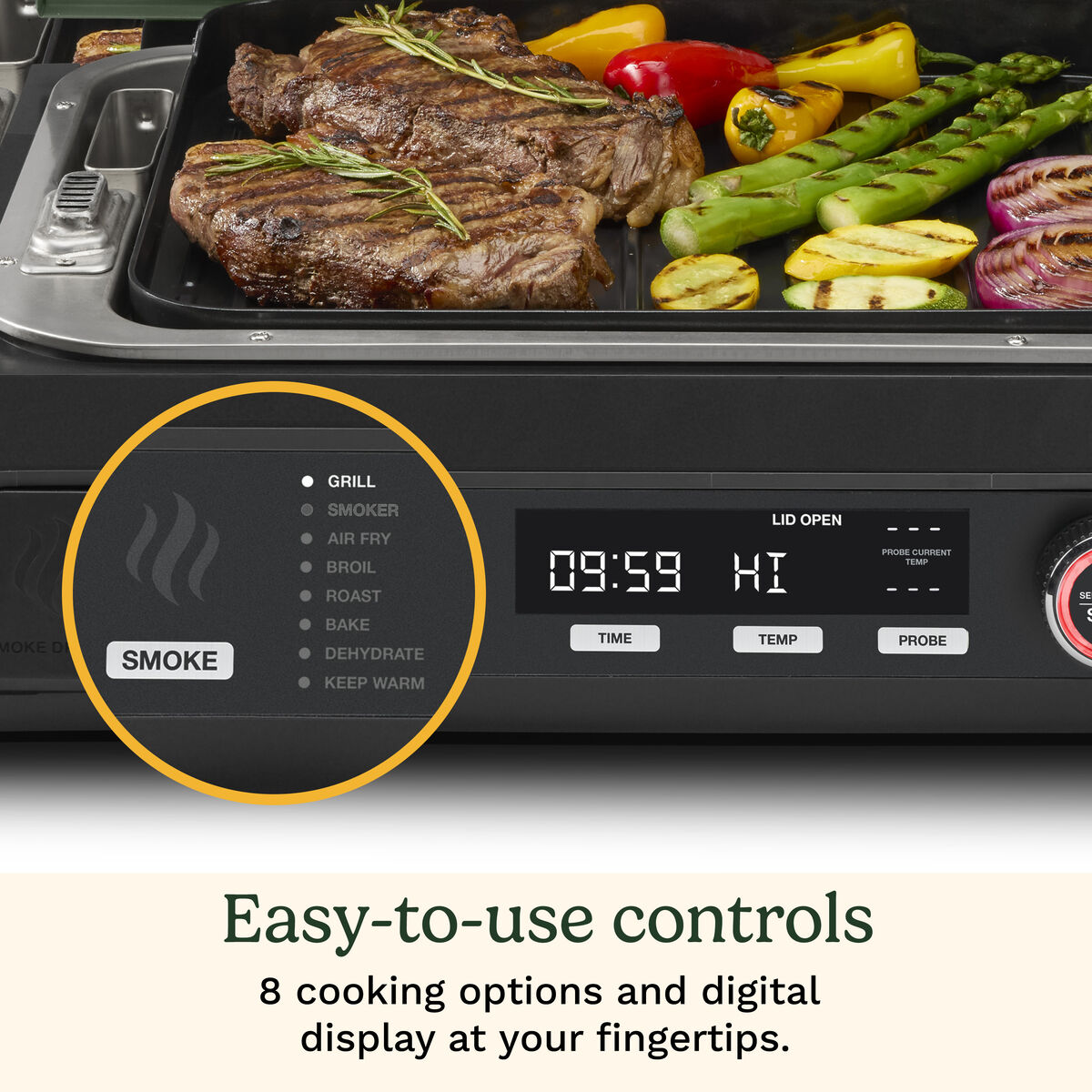 Flavorboost&trade; 8-in-1 Outdoor Electric Grill 5