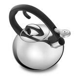 Discontinued Classic Brilliance Tea Kettle 4