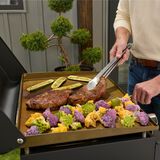 22" Tabletop Gas Griddle with Hood 6
