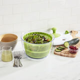 Discontinued Salad Spinner 2