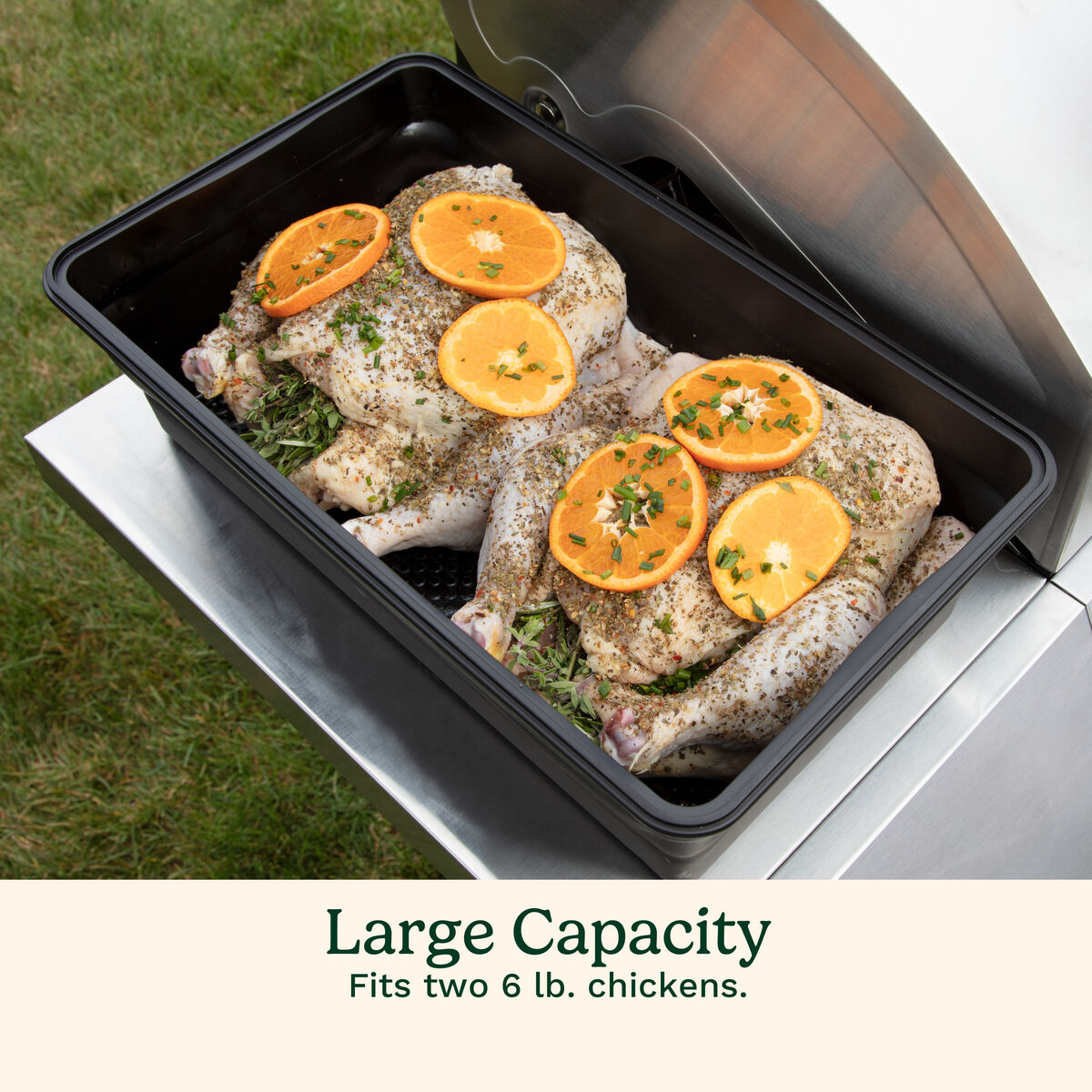 XL Collapsible Marinade Container