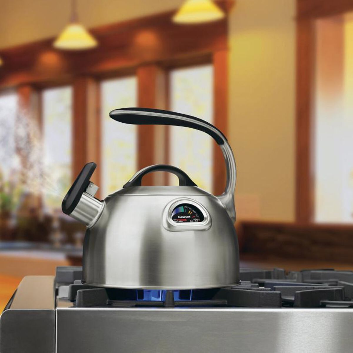 Discontinued PerfecTemp&reg; Teakettle 3