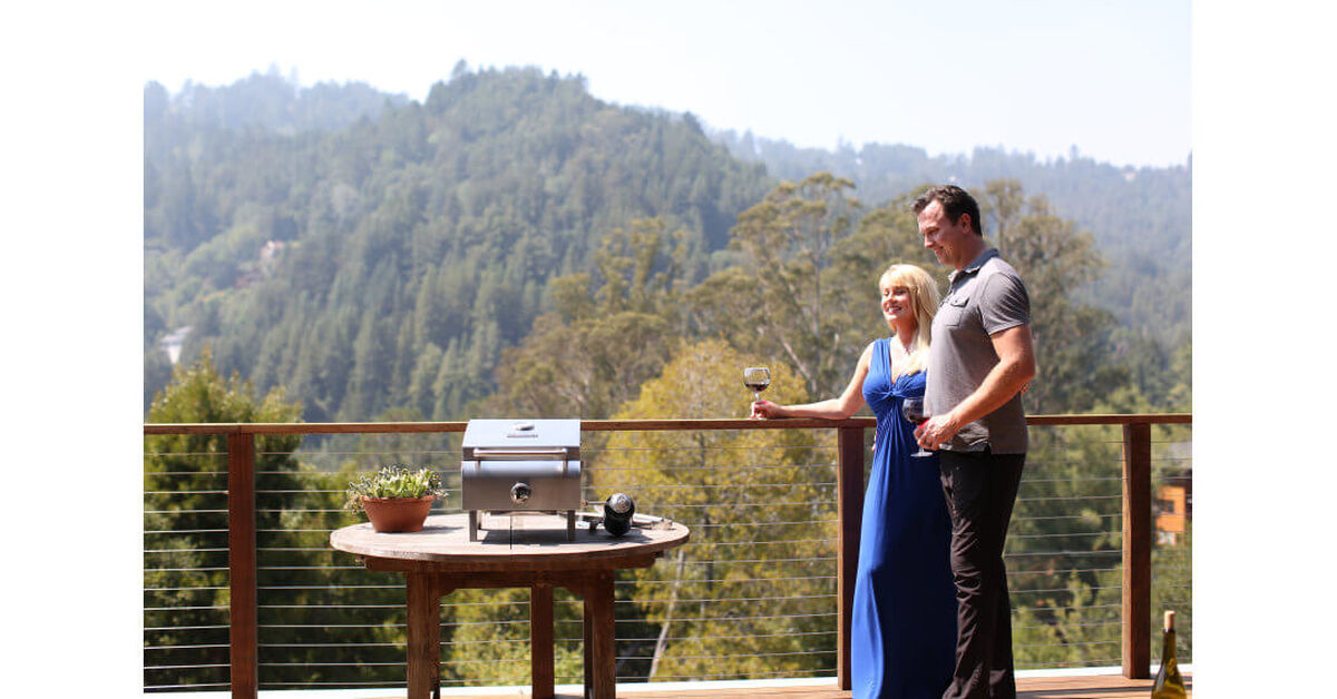 Professional Portable Gas Grill
