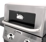 Discontinued Two Burner Duel Fuel Gas Grill