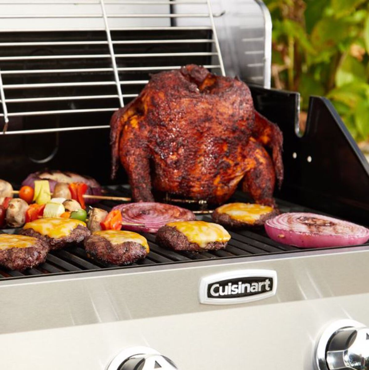 Discontinued Two Burner Duel Fuel Gas Grill