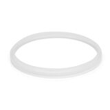Sealing Ring 1