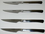 Discontinued Advantage 4 Piece Stainless Steel Steak Knife Set 1