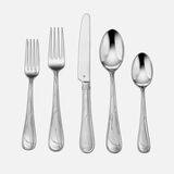 Discontinued Evires 20 Piece Set 1