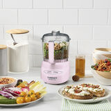 Mini-Prep Plus 24 Ounce Processor 5