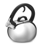 Discontinued Classic Brilliance Tea Kettle 2