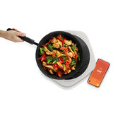 Discontinued One Top Induction & Sous Vide Cooker 4