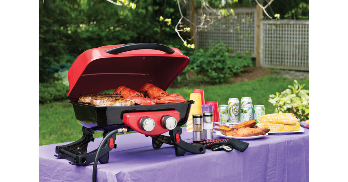 Dual Blaze Two Burner Gas Grill 6