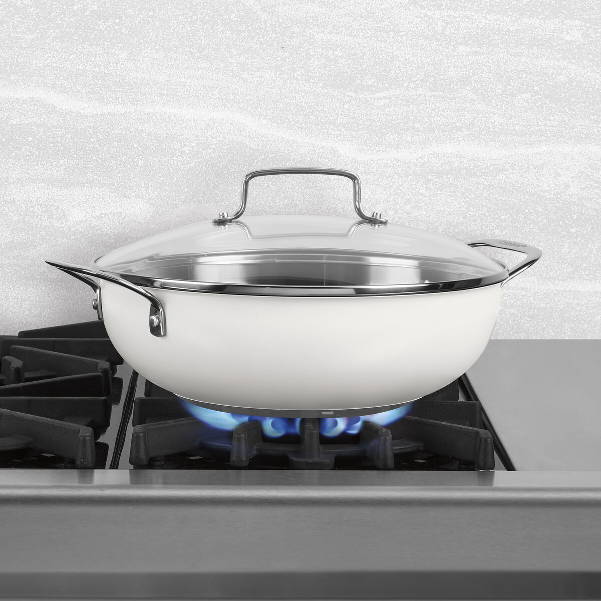 Discontinued 12" All Purpose Pan with Cover