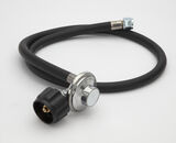 CGG-306 Regulator with Hose Bulk 1