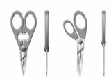 Discontinued Shears (Set of 4) 1
