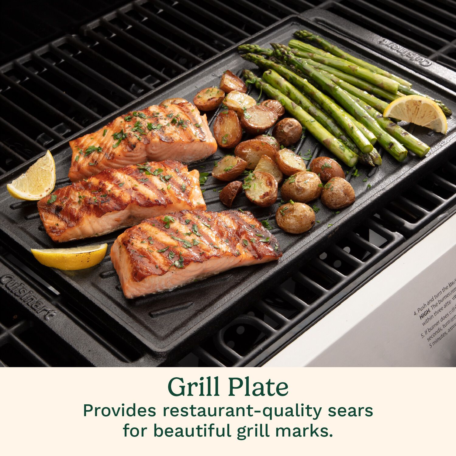 Reversible Cast Iron Grill/Griddle Plate Cuisinart