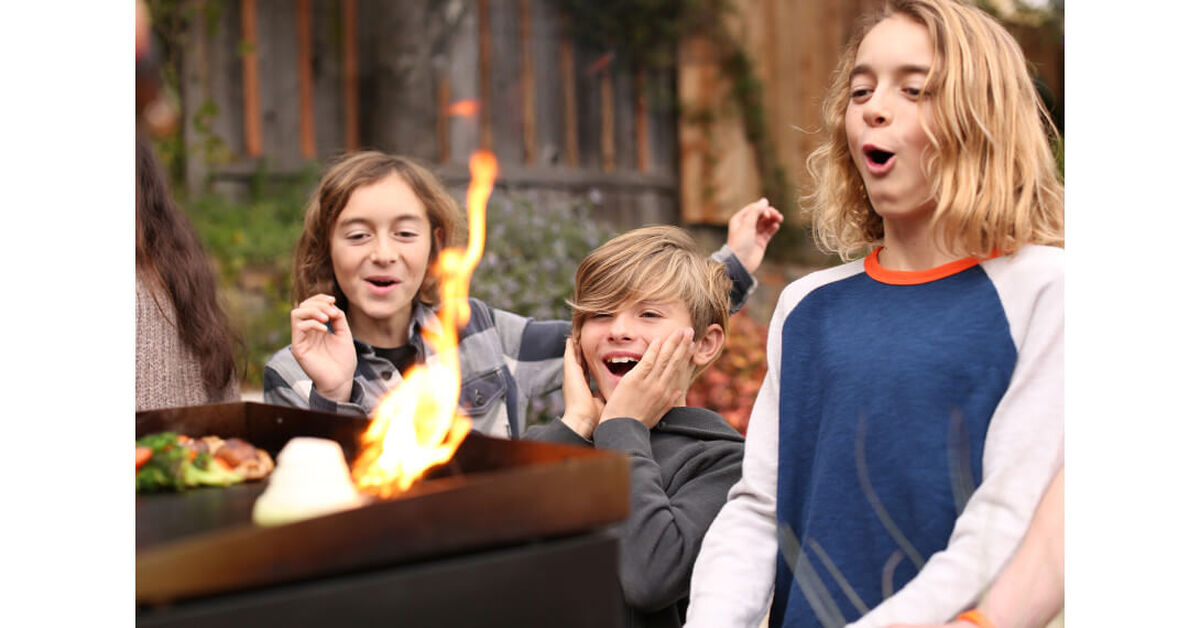 Discontinued Gourmet Two Burner Gas Griddle