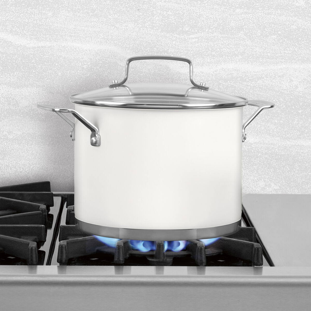 Discontinued 6 Qt. Stockpot with Cover 3