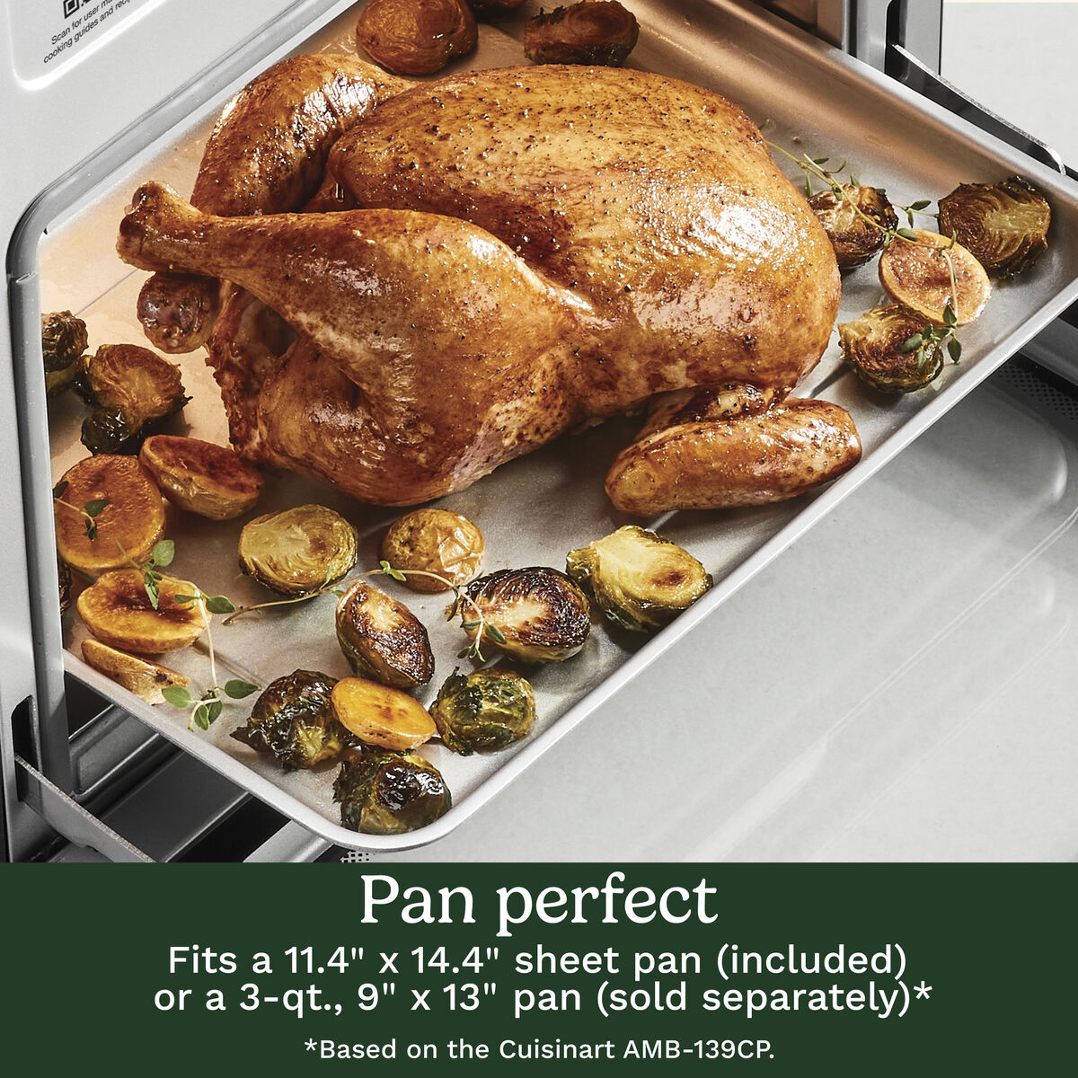 10-in-1 XL Digital Air Fryer Oven