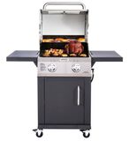 Discontinued Two Burner Duel Fuel Gas Grill