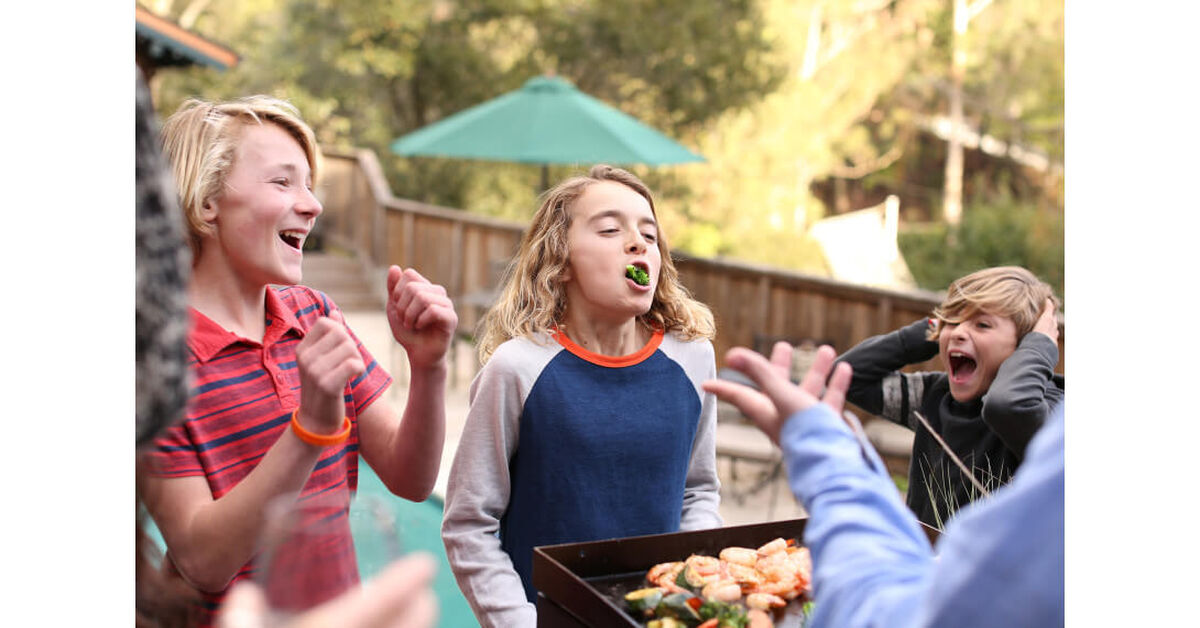 Discontinued Gourmet Two Burner Gas Griddle