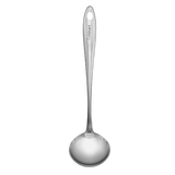 Stainless Steel Ladle 1