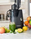 Easy Clean Slow Juicer
