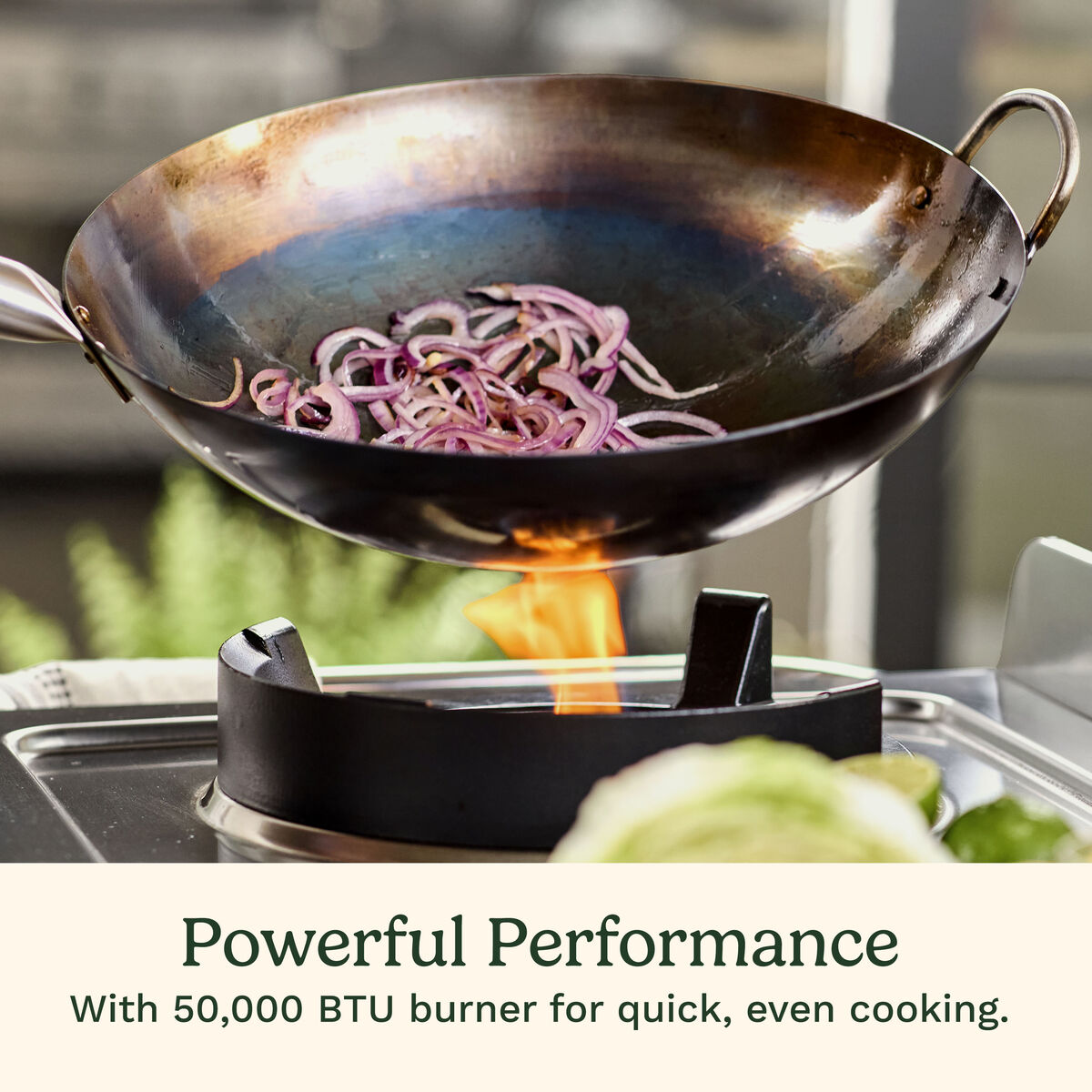 Discontinued Outdoor Wok Station
