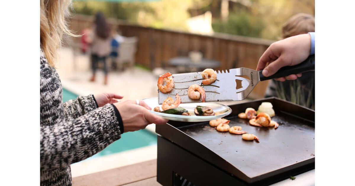 Discontinued Gourmet Two Burner Gas Griddle
