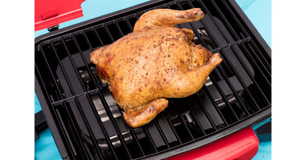 Dual Blaze Two Burner Gas Grill 10