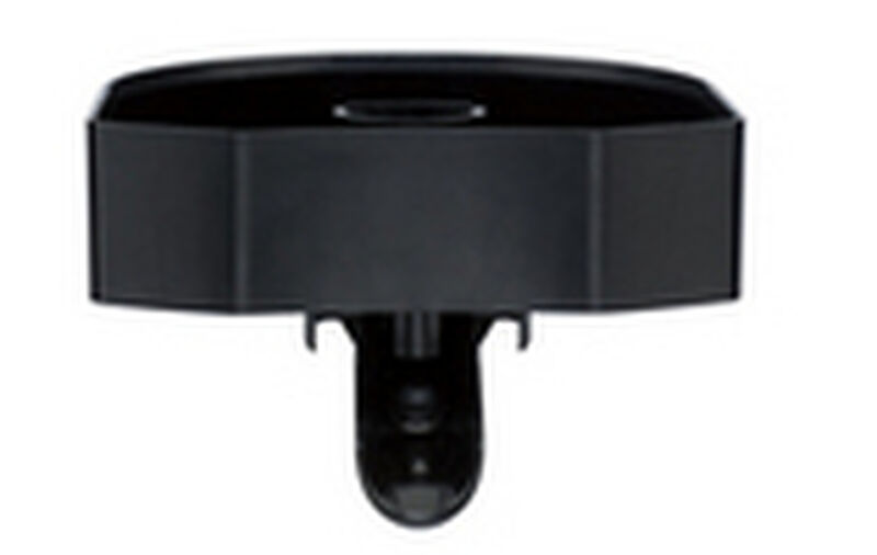Container with Spout