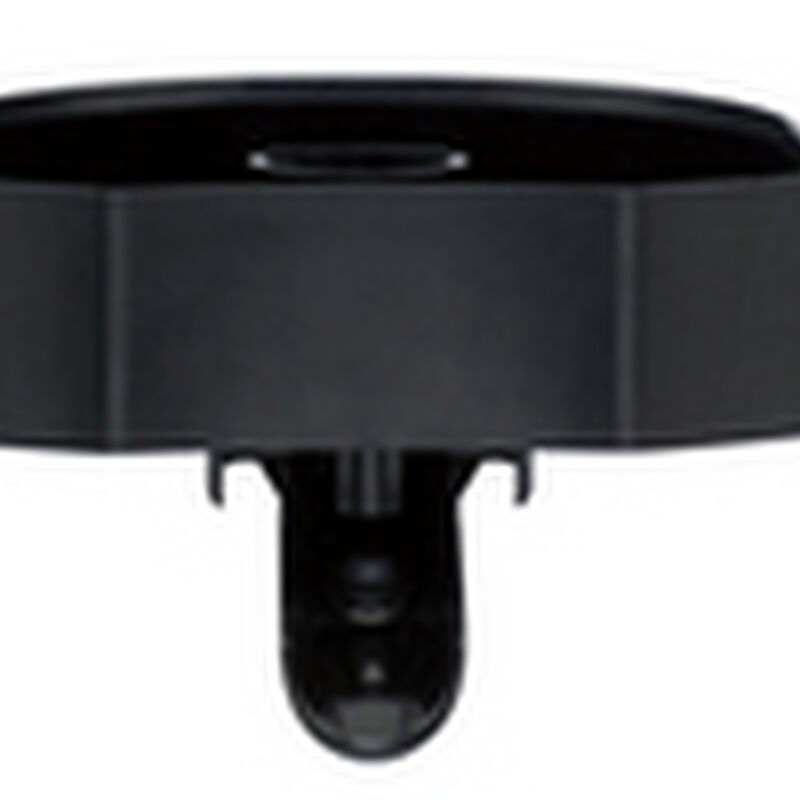 Container with Spout