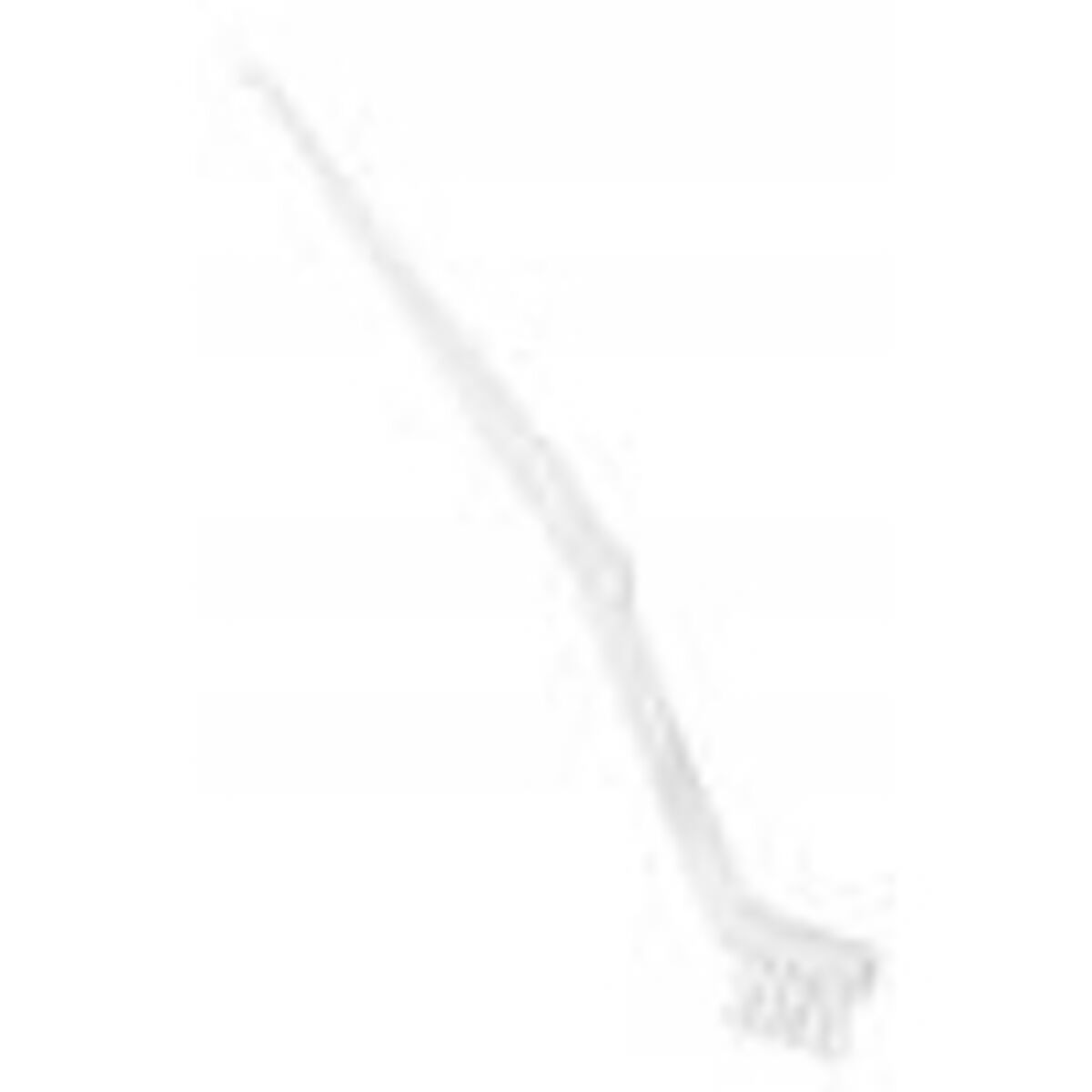 Cleaning Brush 1