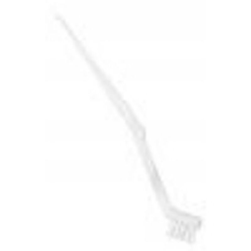 Cleaning Brush