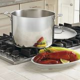 Discontinued 16 Quart Stockpot