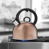 Discontinued Aura 2 Quart Teakettle 2