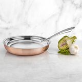 Discontinued Tri-Ply Stainless 10" Skillet 1