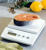 Discontinued Precision Electronic Scale 1