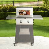 2 Burner Gas Grill 1