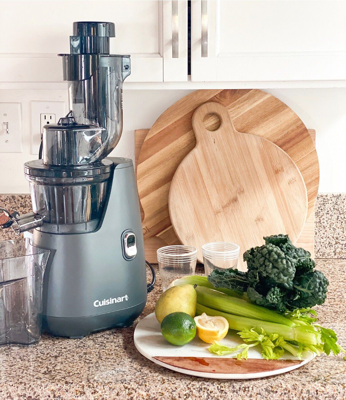 Easy Clean Slow Juicer (CSJ-300P1) - Cuisinart