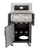 Discontinued Two Burner Duel Fuel Gas Grill