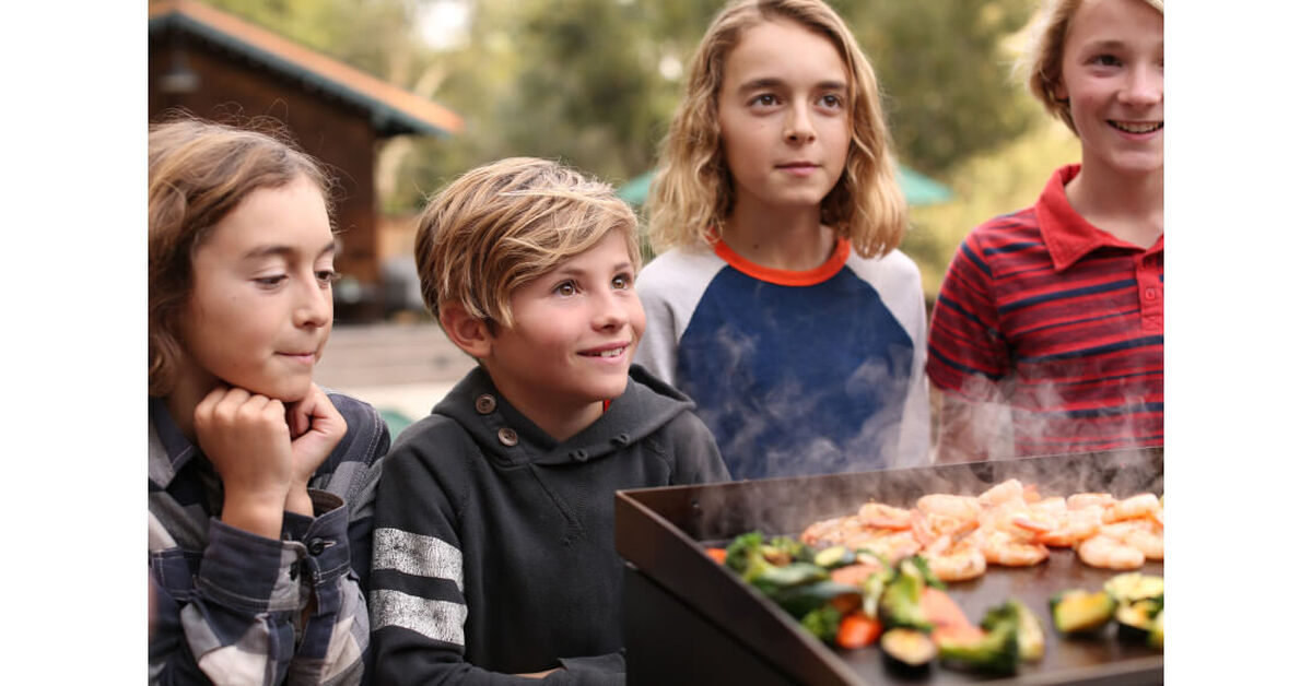 Discontinued Gourmet Two Burner Gas Griddle