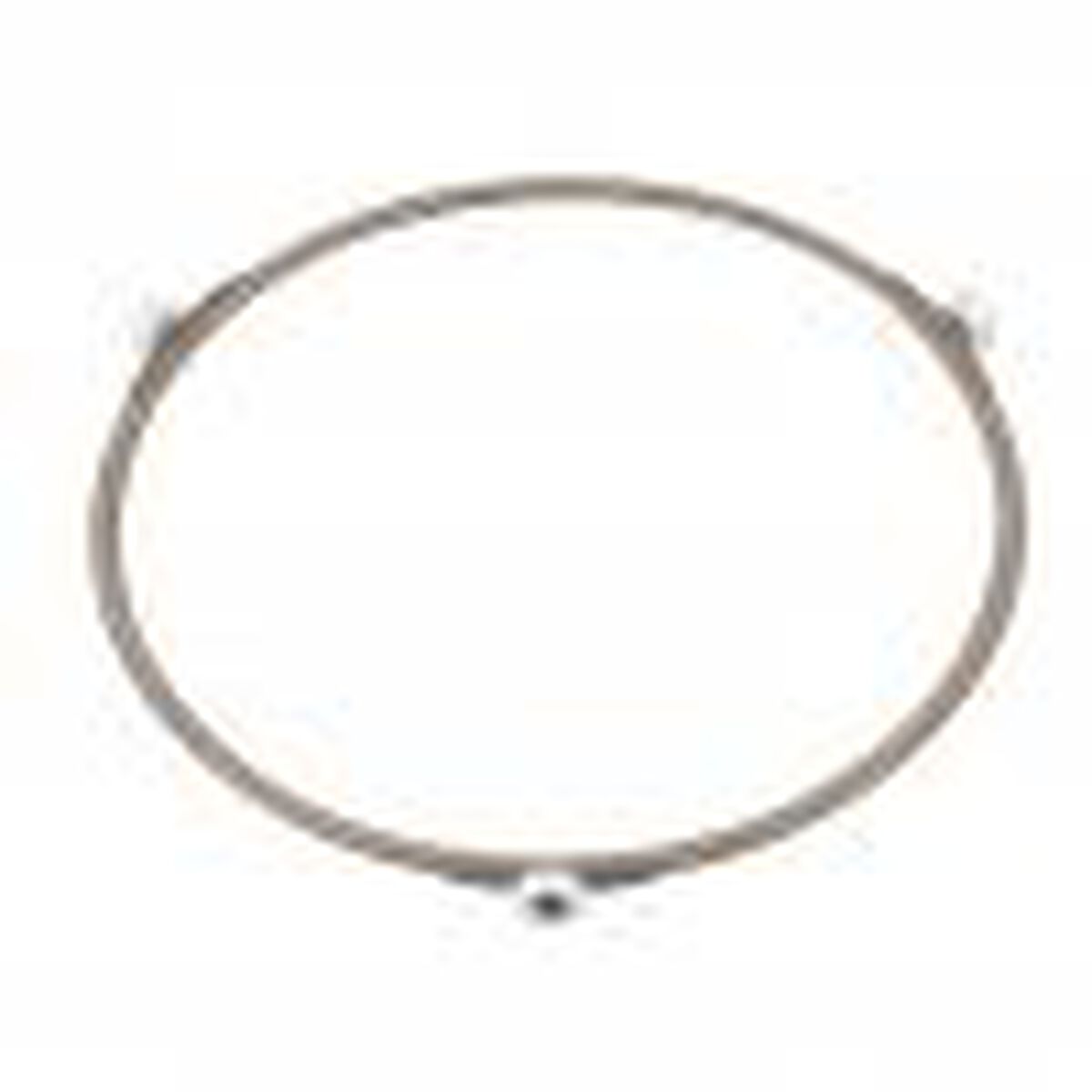 Turntable Ring Assembly for Microwave with Sensor Cook & Inverter Technology 1