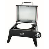 Outdoor Pizza Oven 7